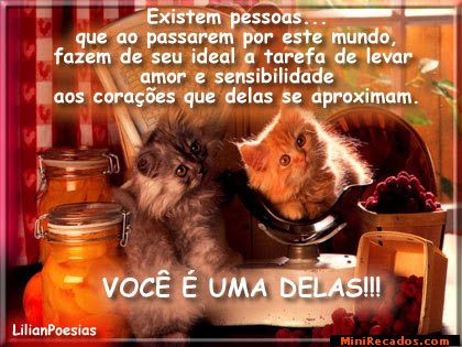 [gatos.bmp]