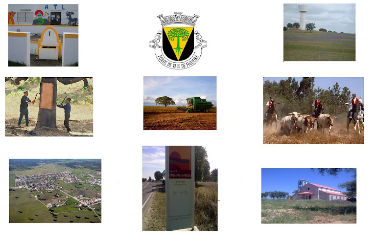 Foros de Vale de Figueira Março 2010