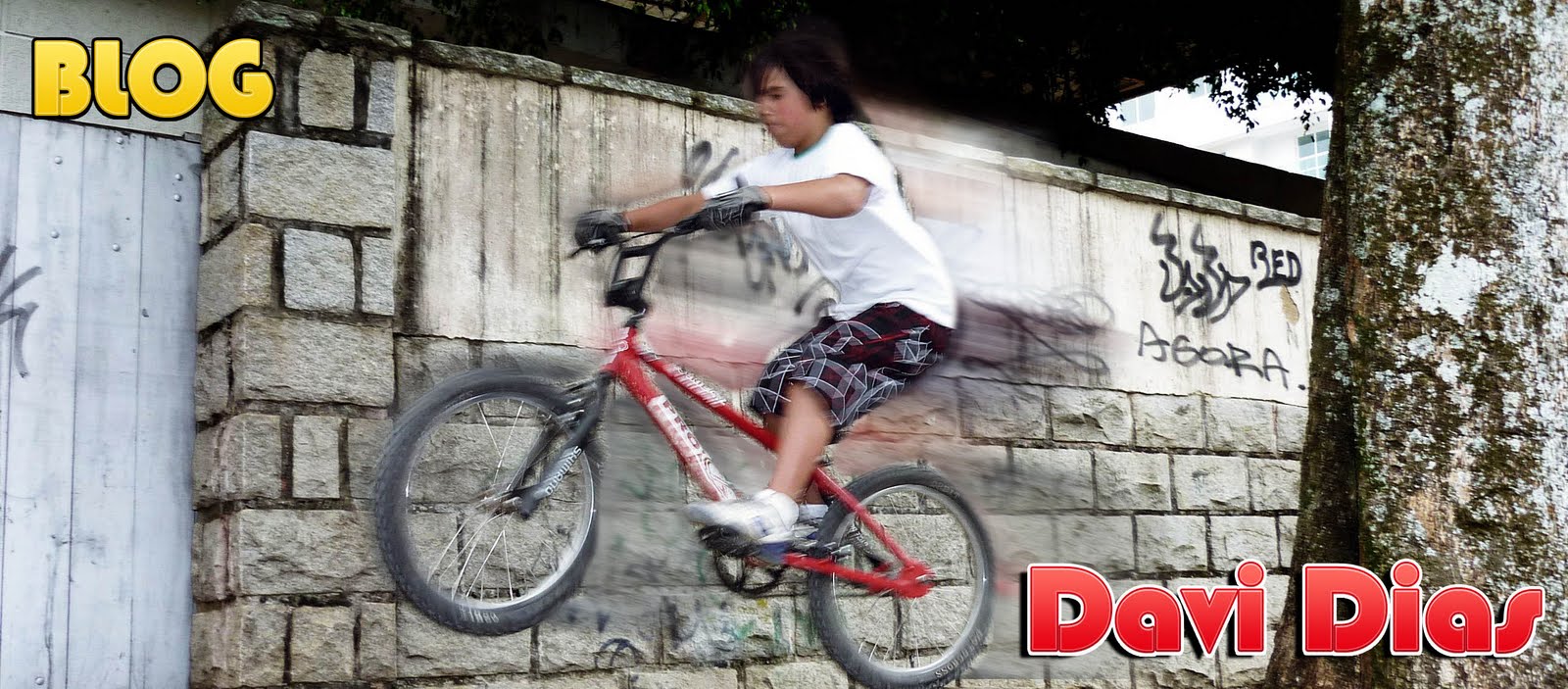 Davi Dias - Bike Rider