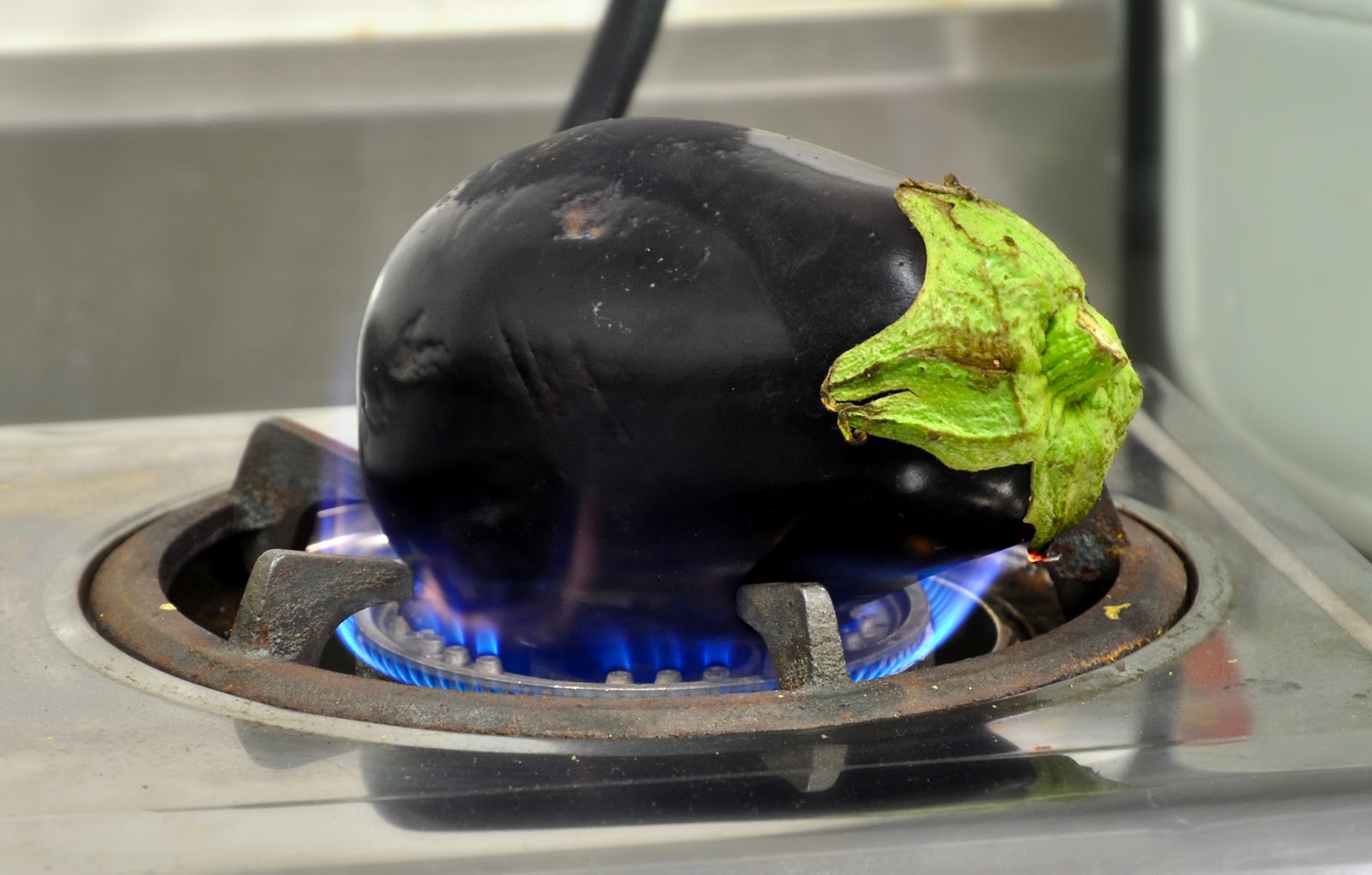 Food journeys Vegetarian Lebanese Cooking Class with Chef, Adam Guthrie