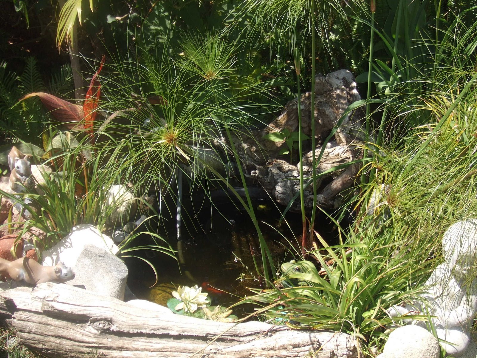 [MomGarden0607e.JPG]