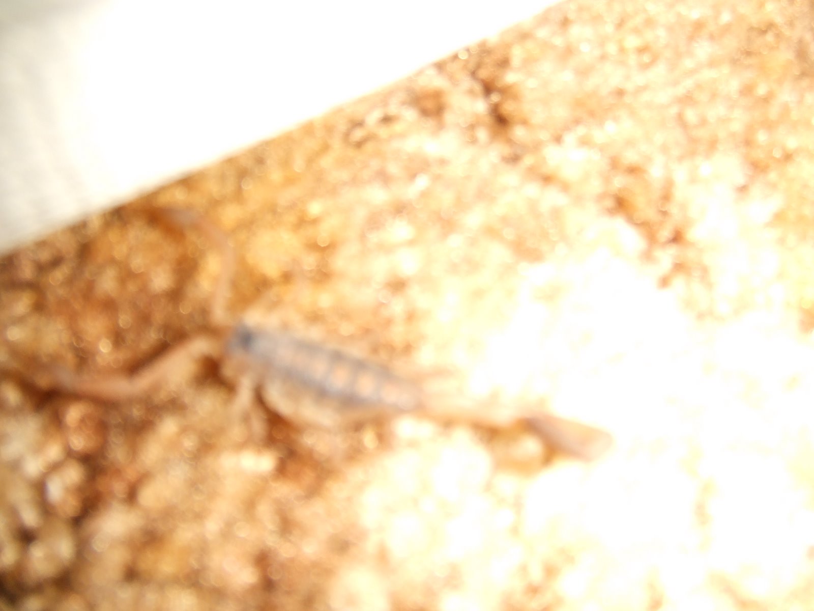 [TRIP07ncA253.JPG]