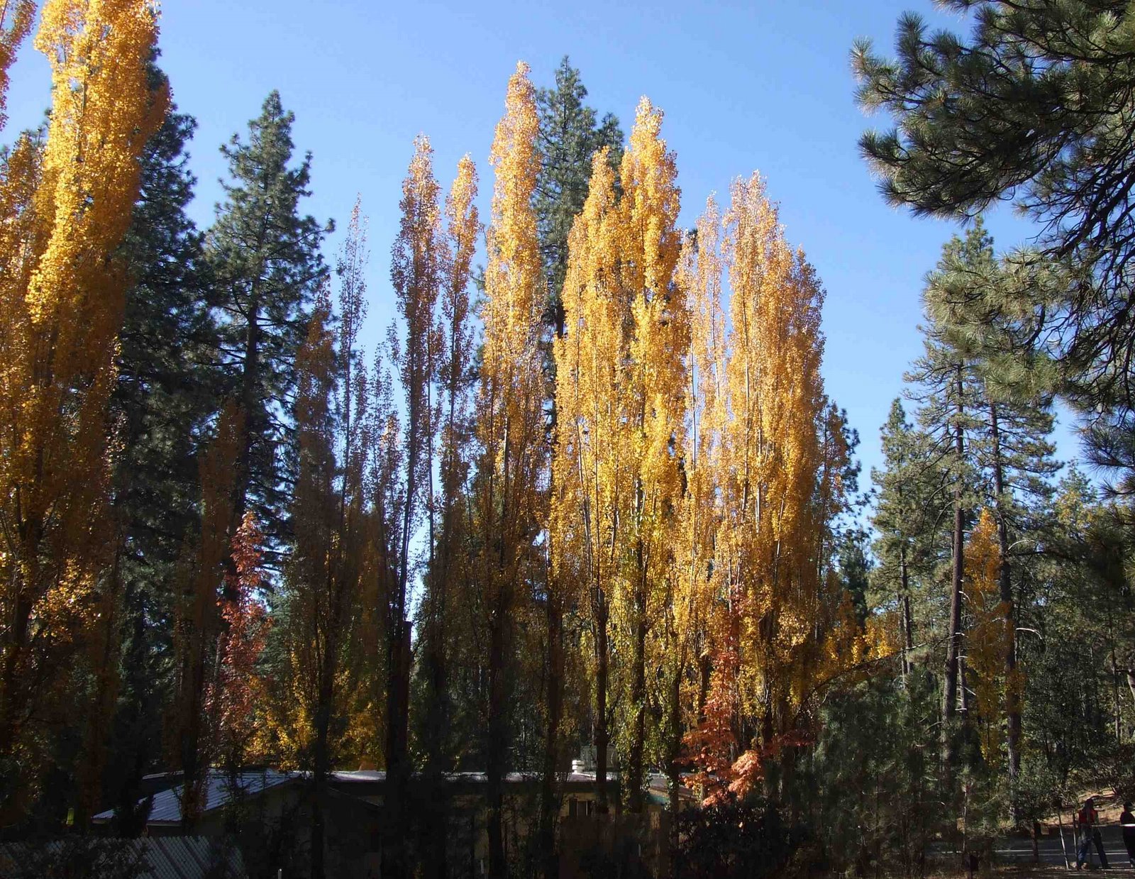 [Blog102708b.jpg]