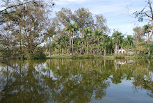 Parque da cidade - SJC