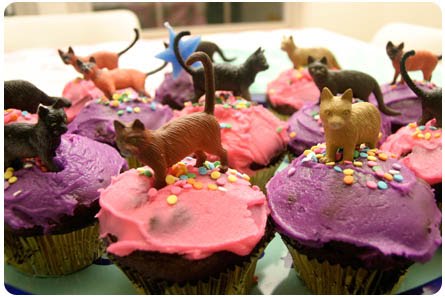 Kitty Cat Birthday Cupcakes