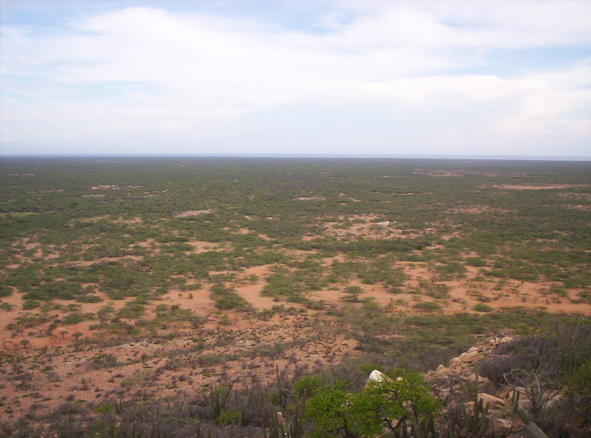 Ipapure, cuna de la binacionalidad wayuu