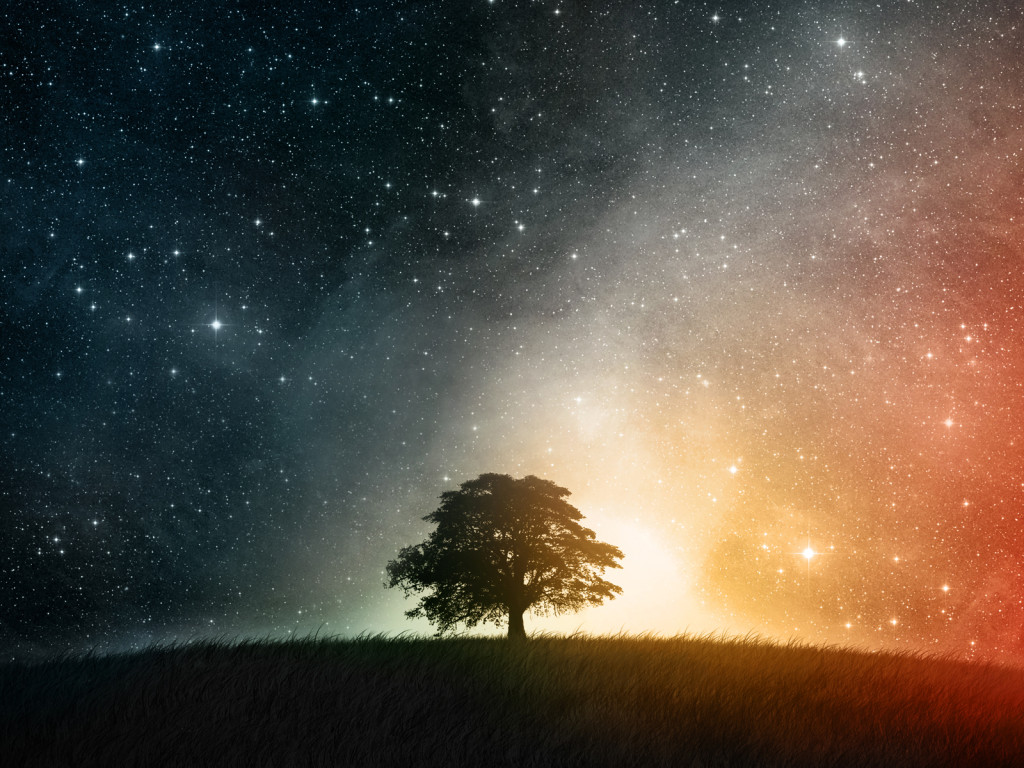 a lot about the night sky,