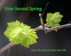 YOUR SECOND SPRING