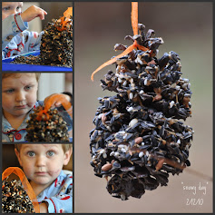 Pine Cone Bird Feeder