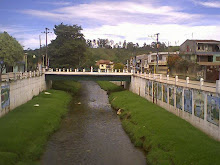 PUENTE DE LA NORMAL