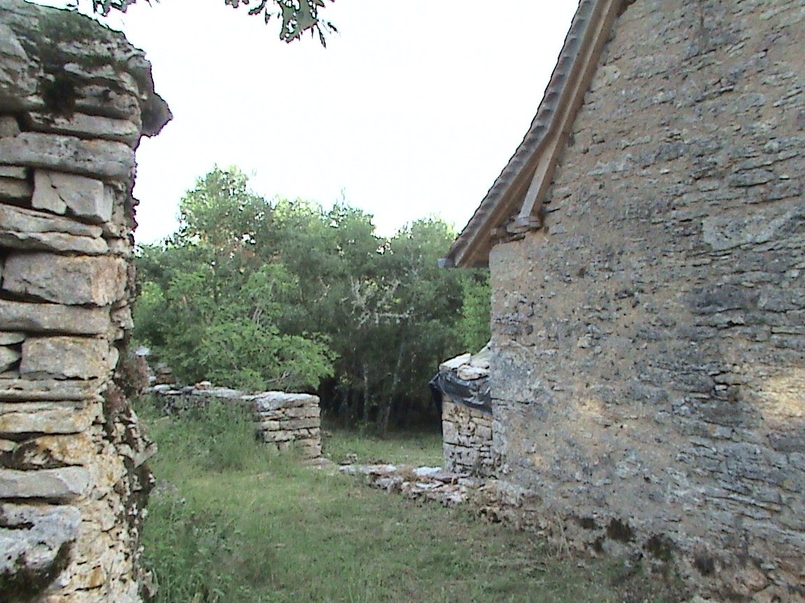 [DSC00451.JPG]