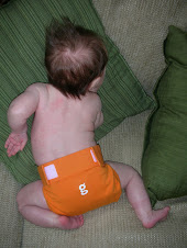 I love my new cloth diapers!