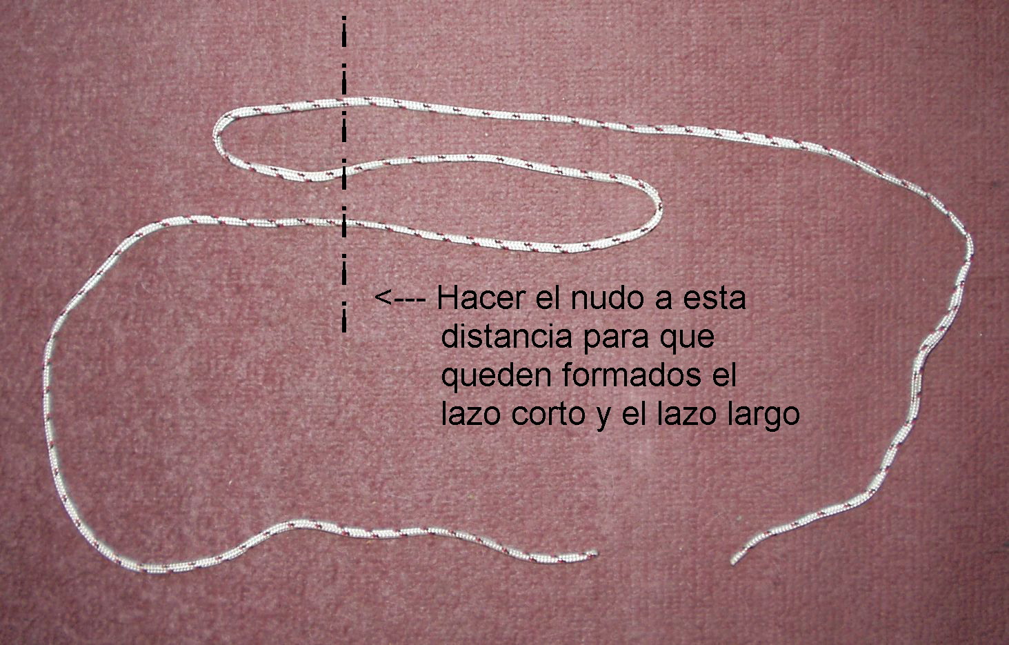 [P1010001.JPG]