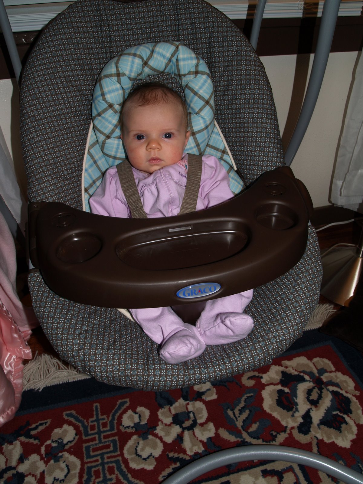 [P1301789.JPG]