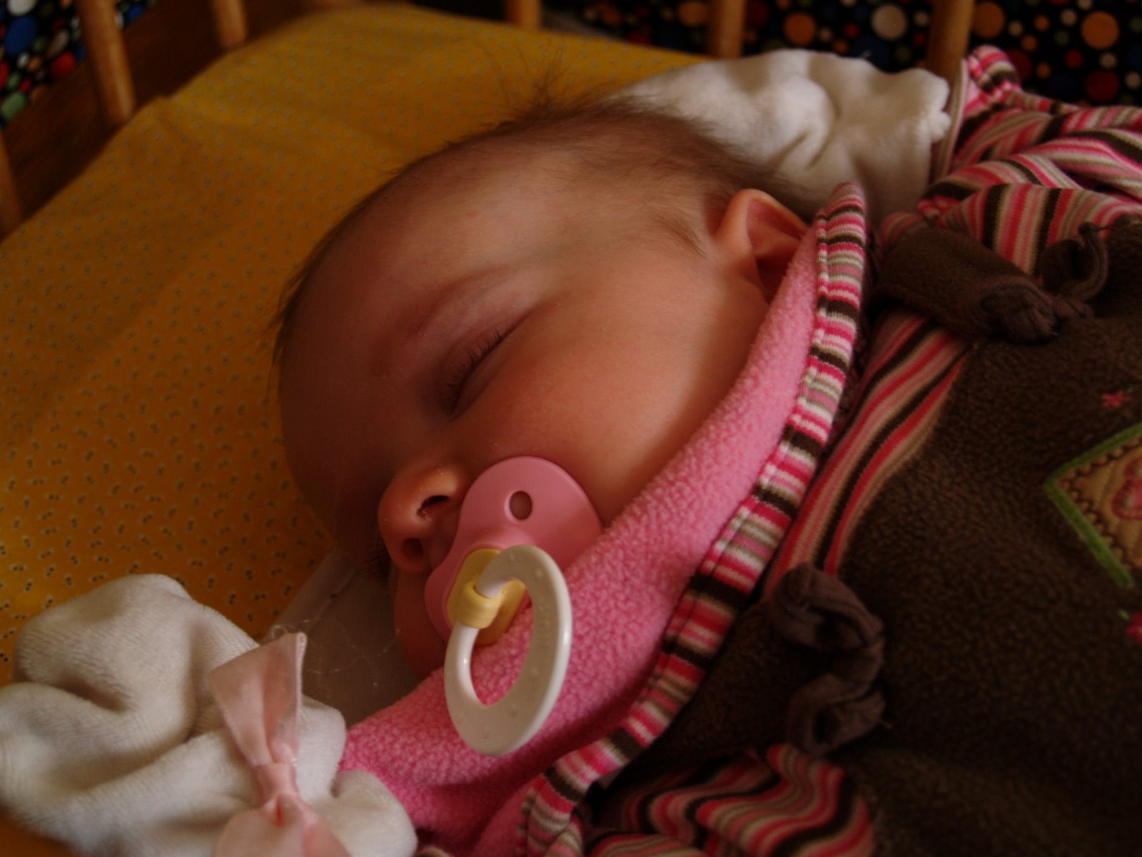 [P2212141.JPG]