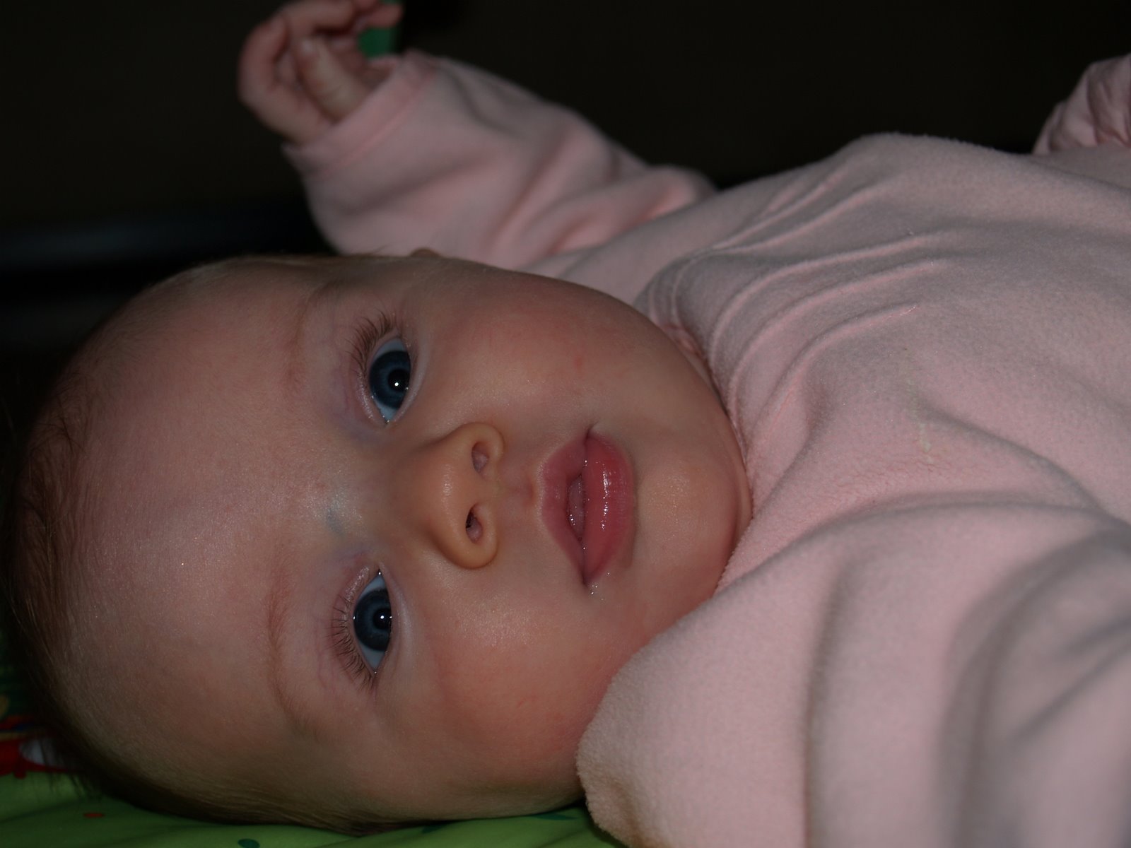 [P3012216.JPG]
