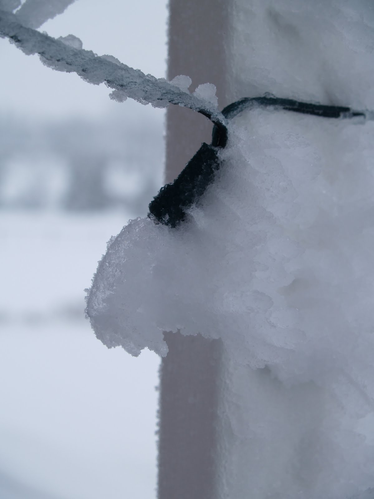 [ice+002.jpg]