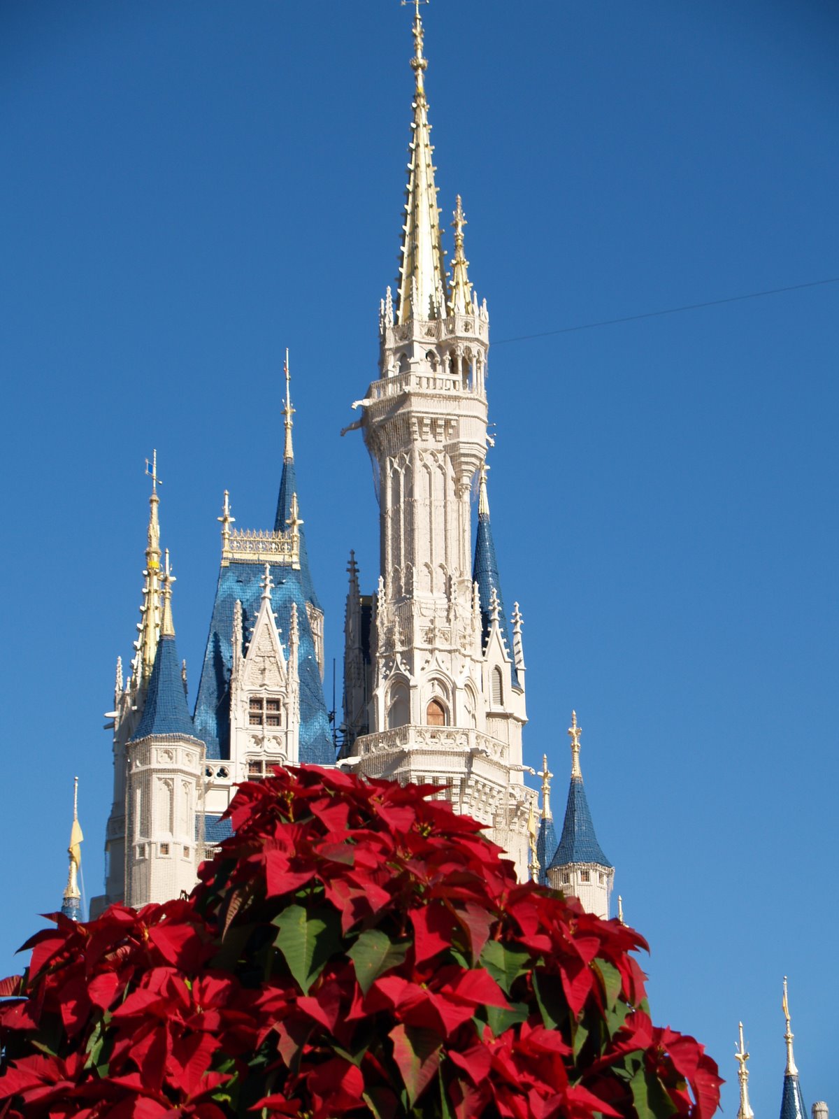 [Disney+08+010.jpg]