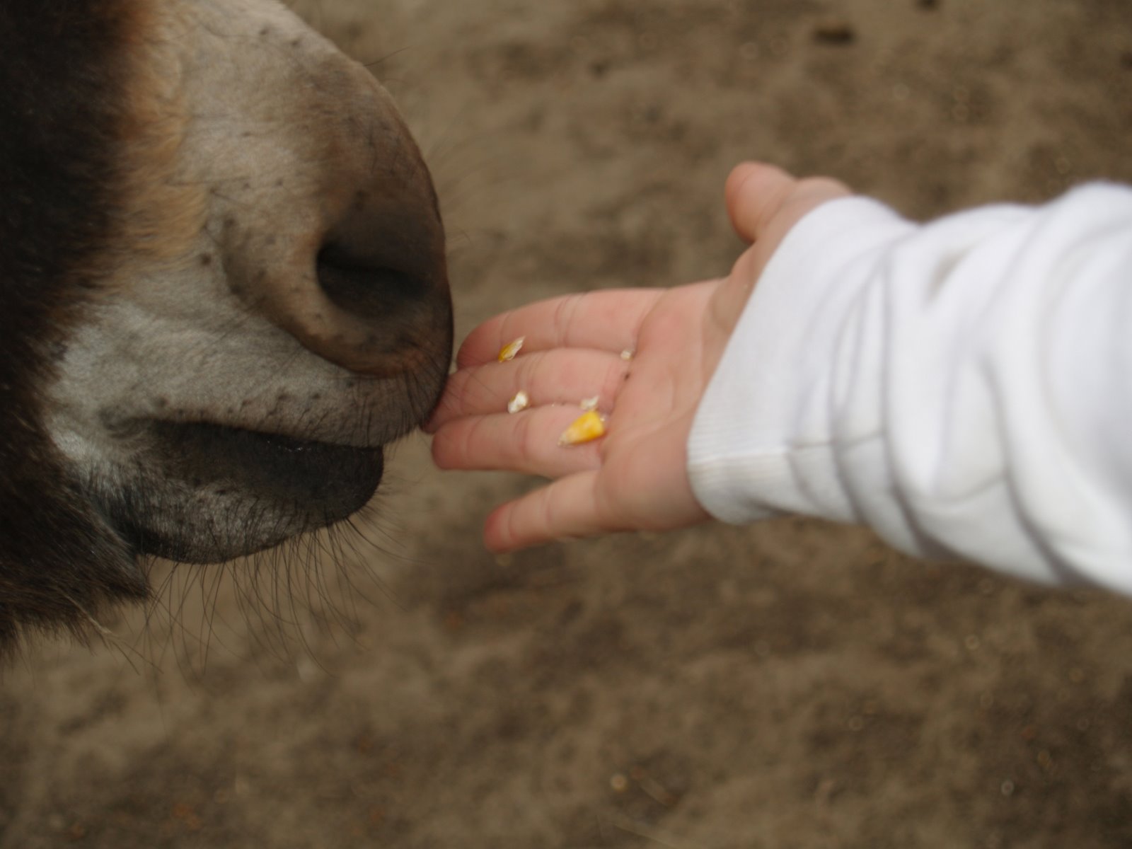 [hunter_5thgrd_zootrip+011.jpg]
