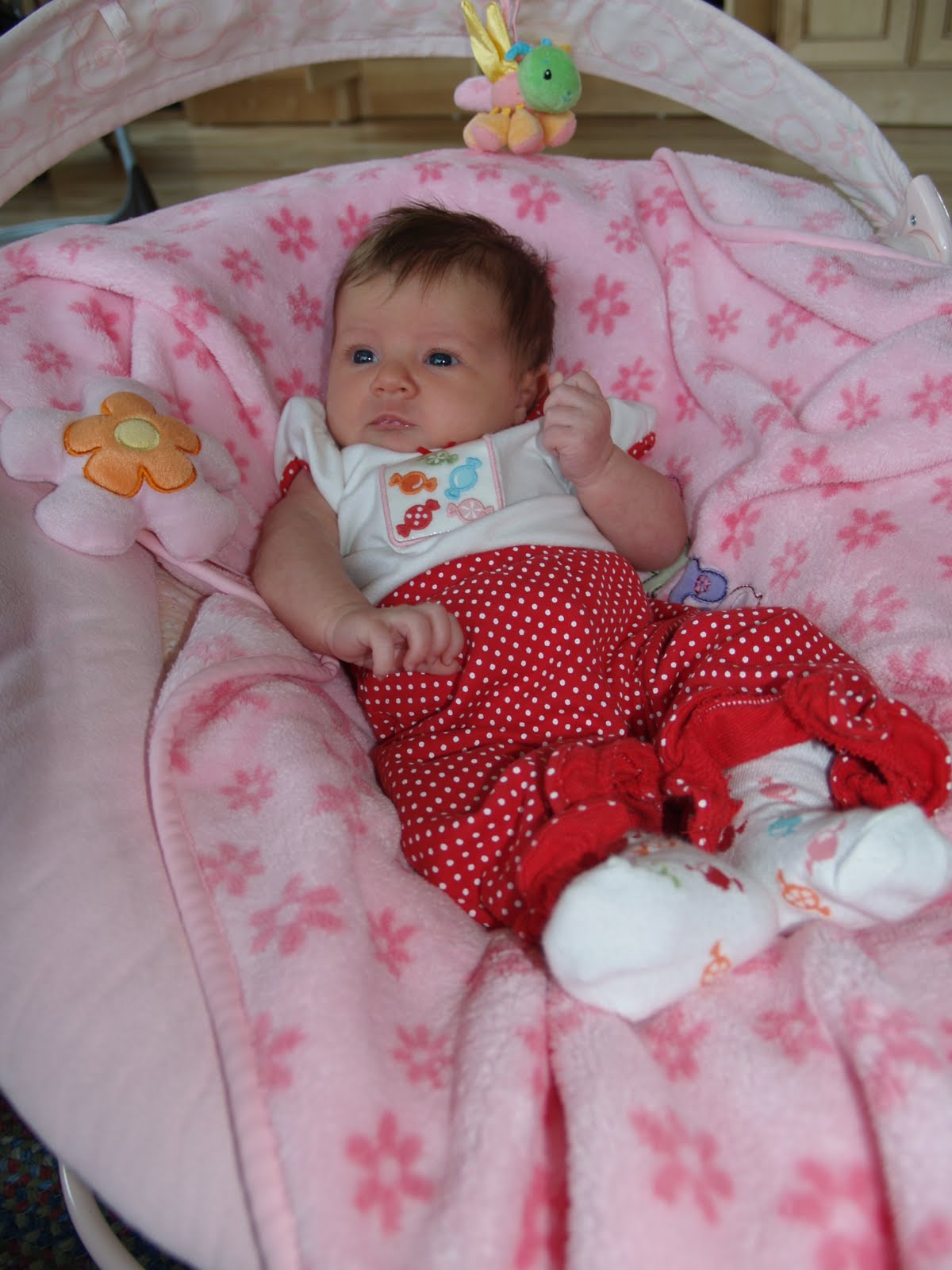 [anika_5wks+006.jpg]