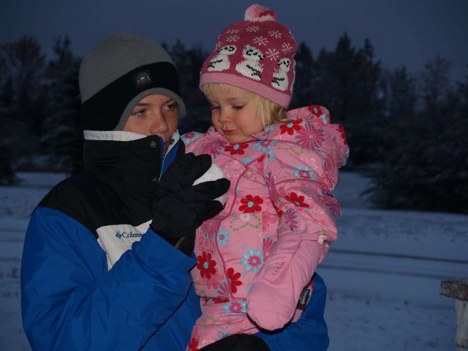 [snow_101509+001.jpg]