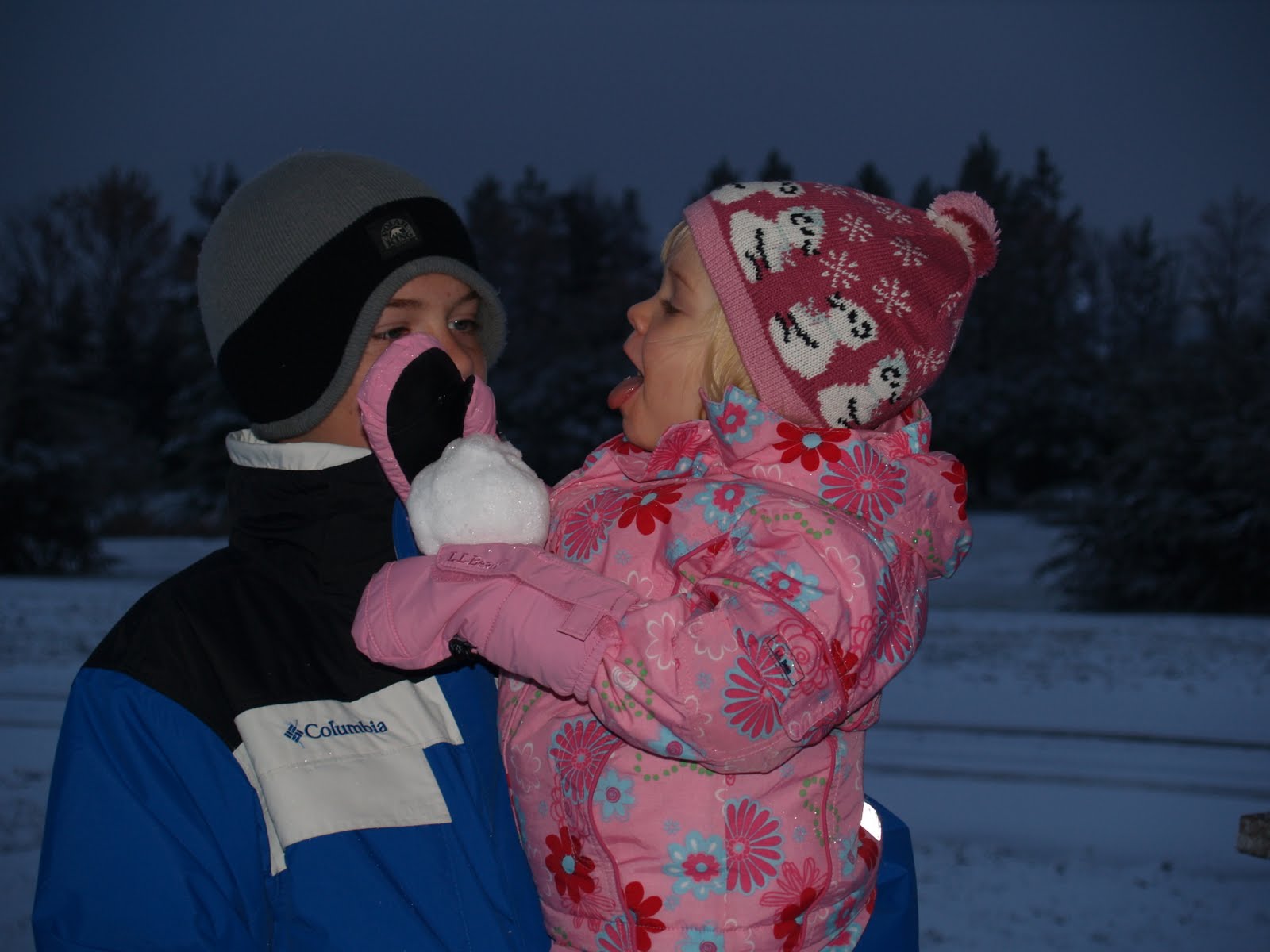 [snow_101509+003.jpg]