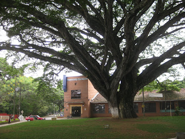 Parque Bolívar