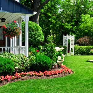 Garden Design Examples Pictures - Vertical Home Garden