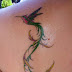 Tribal Humming bird tattoo Gallery Picture