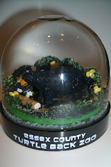 Snow globe 12