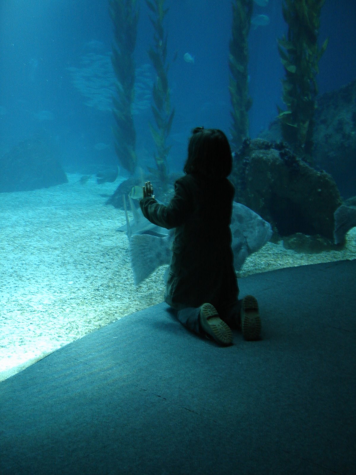 [DSC05133.JPG]