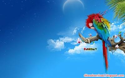 HD Parrot