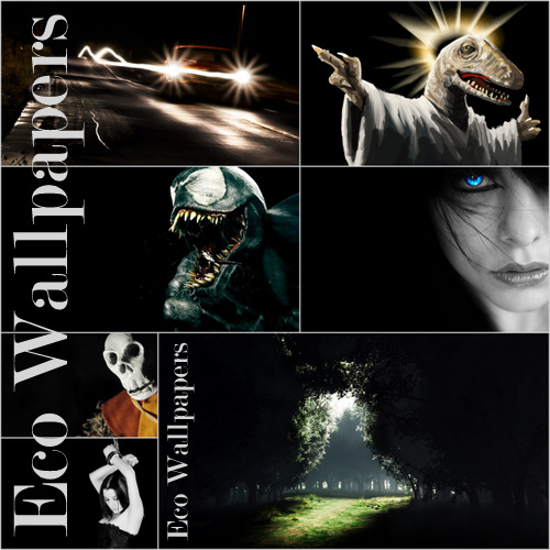 Eco Wallpapers