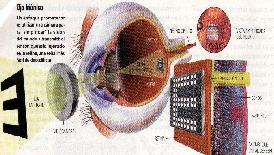 Ojo Bionico