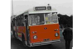 [Seautocarro.bmp]