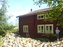 En lillhusse målar stora huset sommaren 2007