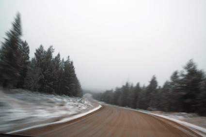 [neve2.gif]