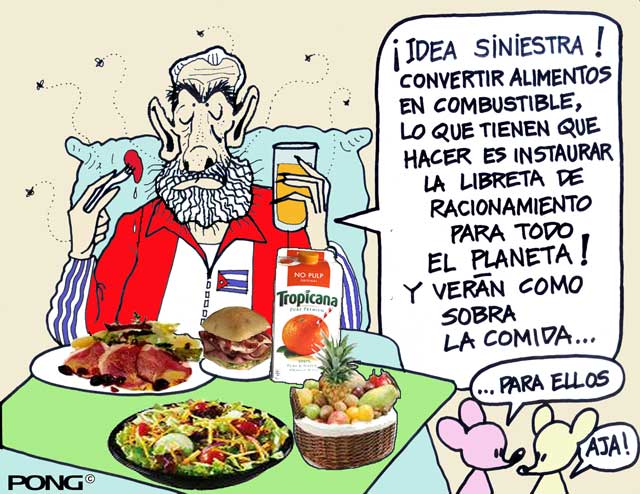 [PongEcologoenJefe.jpg]