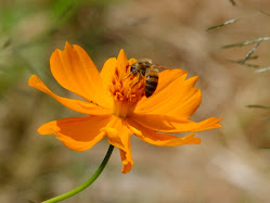 Deus e sua Natureza