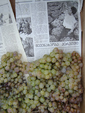 Grapes in a box