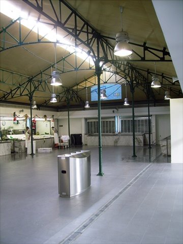 [IMGP0477.JPG]
