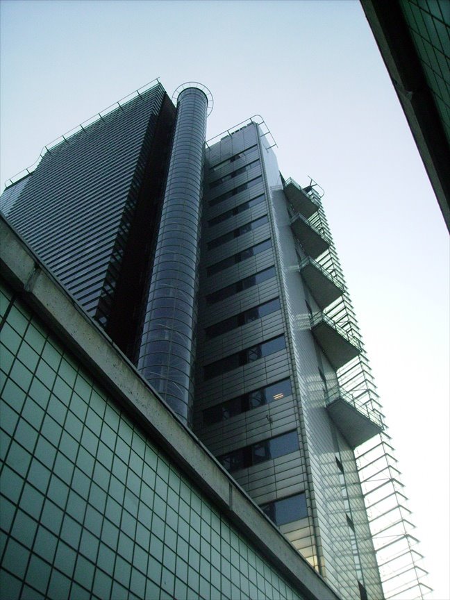 [net_020.jpg]