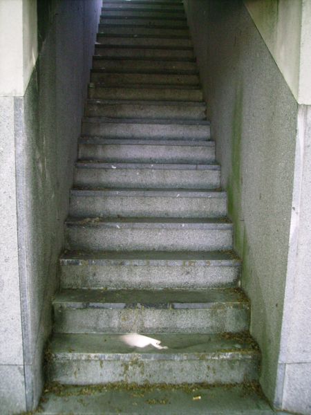 [IMGP3982_450x600.JPG]