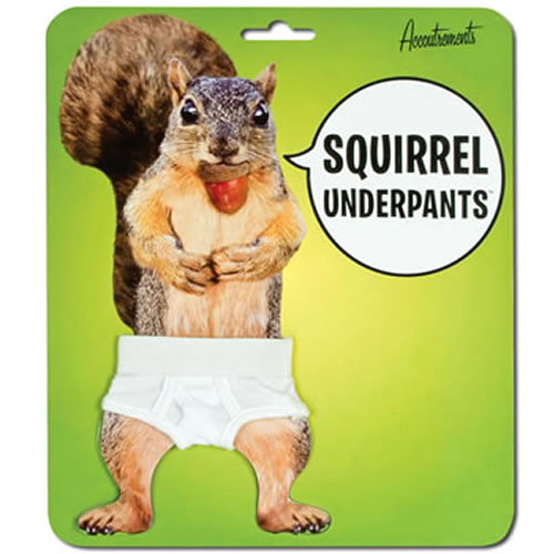 [squirrel-underpants-l_0.jpg]