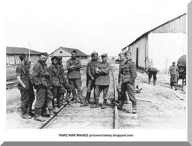 world war 1 trenches rats. +world+war+1+trenches