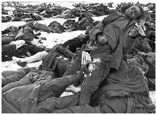 Survivors of Stalingrad - DocuWiki