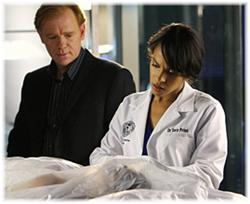 [csimiami.JPG]