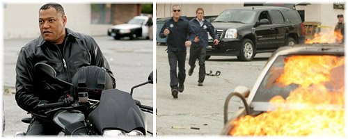 [csi23.JPG]