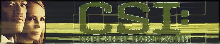 [BANNER_csi+NEW_2.JPG]
