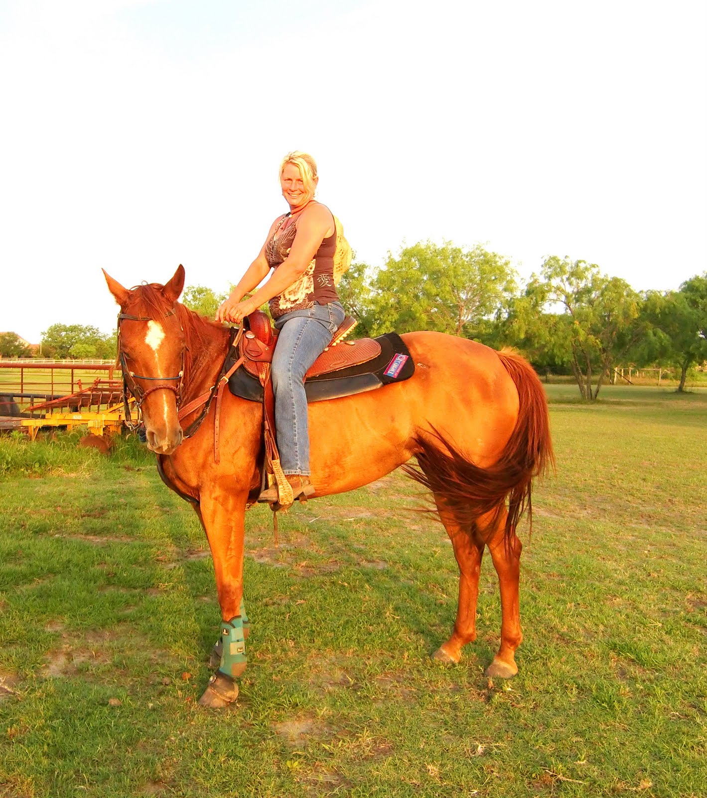RAC (RideACurly) Adventure Blog A Curly owner rides a beautiful Quarter Horse.....Jazz